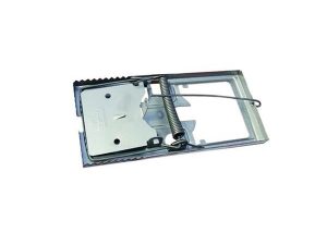 BEŞEL MOUSE TRAP