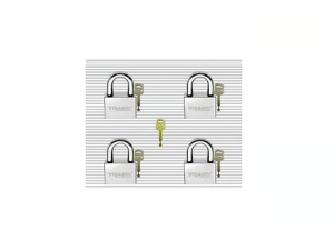 TRI-MAX MASTER SYSTEM STEEL PADLOCK 55MM SET OF 4 MK2441