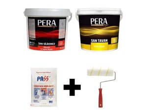 SAN SILICONE 3+1 PAINT CAMPAIGN SAND BEIGE