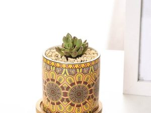 ARTS BOHEMIAN STYLE MANDALA CACTUS AND SUCCULENT POT 3