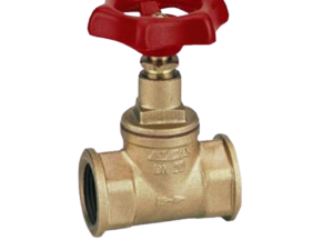 ECA 1 1/2'' SIBER VALVE 601003005