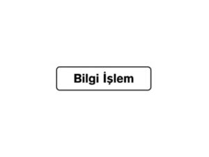 B1-212 INFORMATION PROCESSING 7.5X25 CM