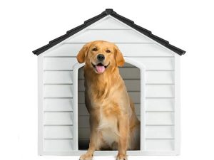 ŞENYAYLA 5100 PLASTIC CAT AND DOG KENNEL