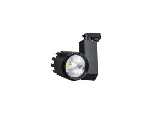 RAY SPOT 30W FL-2235 S
