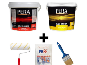 BUY 5 BUY 1 PAY 1 PAINT CAMPAIGN WITH SAN SILICONE