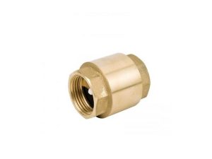 SPRING LOADED CHECK VALVE 2