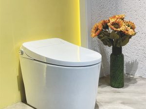 NEWARC MEGA FLUSH SMART TOILET BOWL + SOFT CLOSE TOILET SEAT 68X39X49 MEGA068