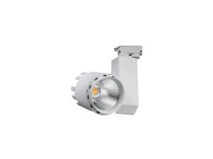 RAY SPOT 30W FL-2235 B